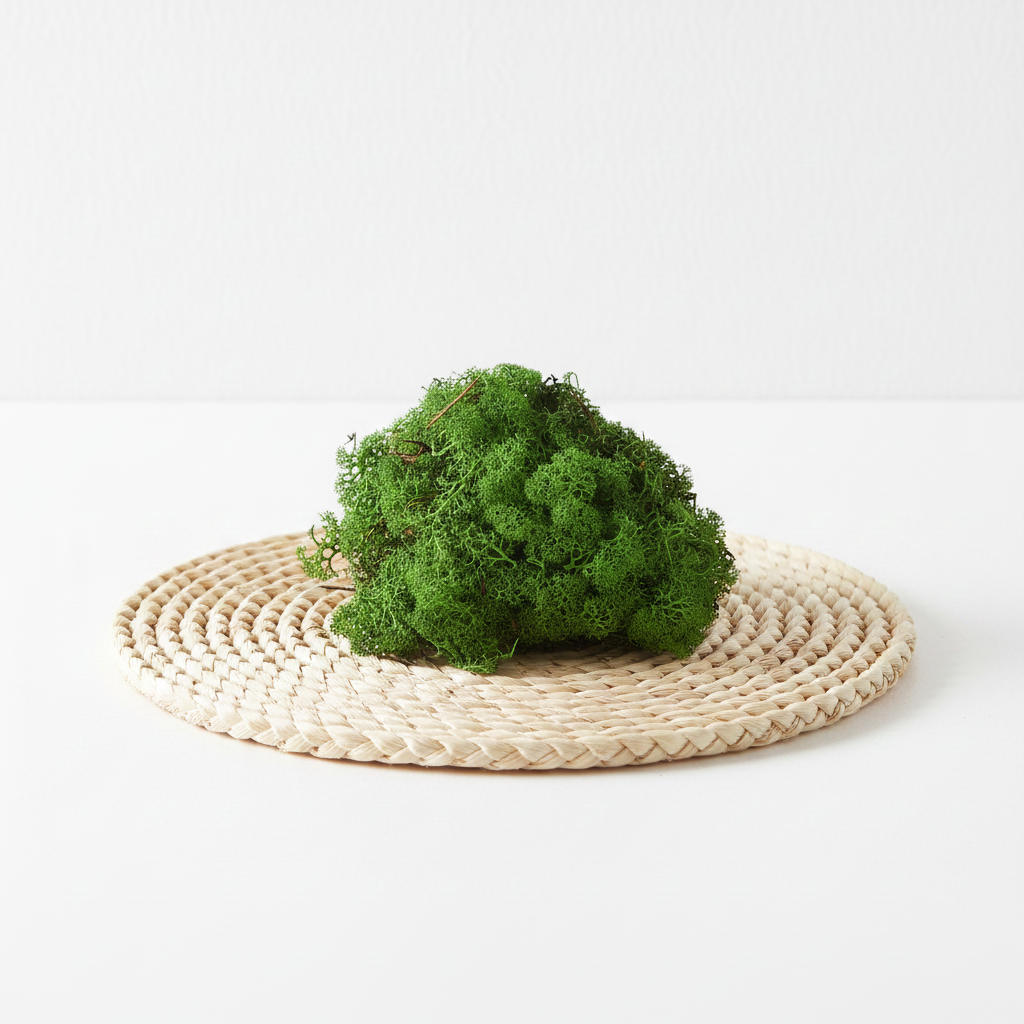 Stabilizovaný mech Reindeer zelený – sobí mech 100 g